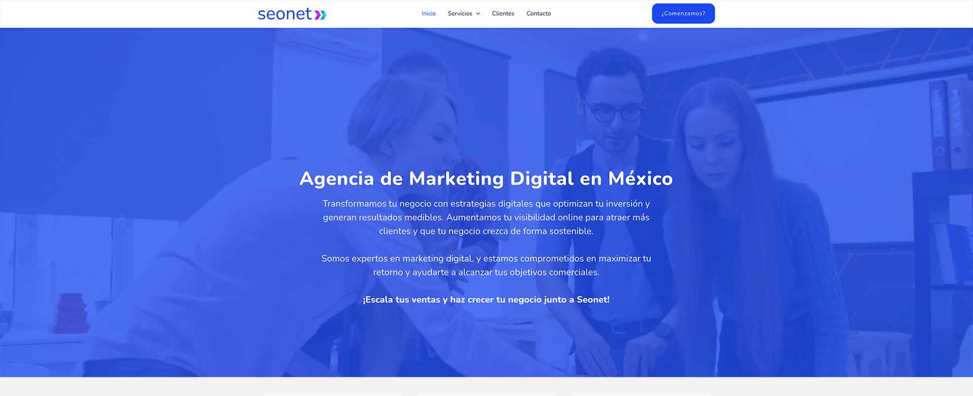 Seonet Agencia de Posicionamiento Web México